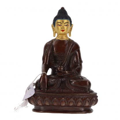 Boeddha zittend donker lichaam